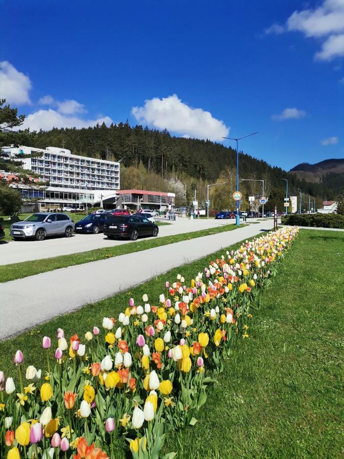 Apartman Family S Vyhladom Na Choc Лучки Экстерьер фото